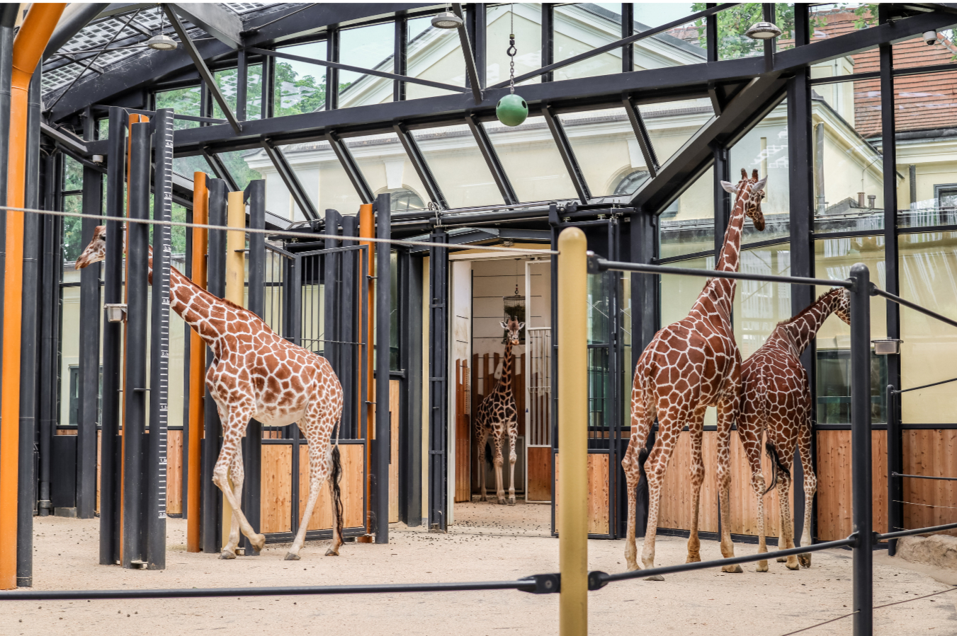 10 lugares icónicos que debes visitar en Waco, Texas (Guía 2025)